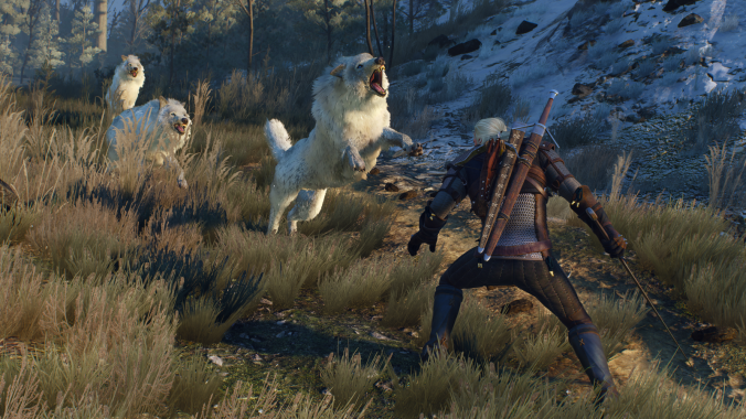 The_Witcher_3_Wild_Hunt_These_animals_can_rip_you_apart_in_seconds_if_you_re_not_careful.0.0.png